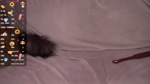 Snapshot of amandaafire chatting on December 27, 2024, 5:52 am Amanda online show from December 27, 2024, 5:52 am