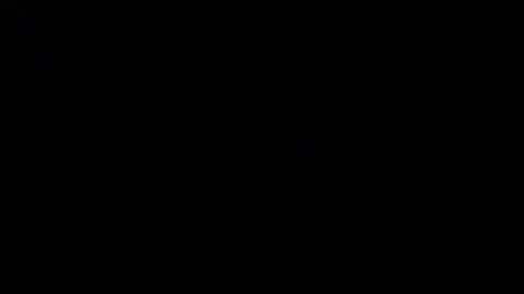 Amarantha online show from January 14, 2025, 1:06 pm