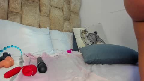 AMATISTA online show from November 12, 2025, 9:03 pm