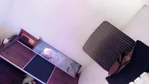 Amaya online show from October 8, 2025, 2:20 am