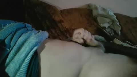 Snapshot of amazingcuteboy845 chatting on October 18, 2025, 9:15 pm amazingcuteboy845 online show from October 18, 2025, 9:15 pm