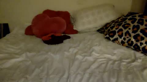 Snapshot of amberloves2write chatting on February 8, 2025, 2:58 am Amberloves2write aka AmberMyBelle online show from February 8, 2025, 2:58 am