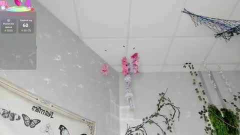 Ameli online show from February 14, 2026, 3:03 am