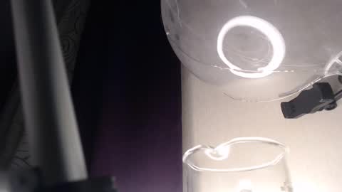 Snapshot of amoremeoww chatting on February 13, 2025, 3:50 am miss unforgettable online show from February 13, 2025, 3:50 am