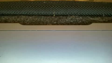 23cm4you online show from February 11, 2026, 10:59 pm