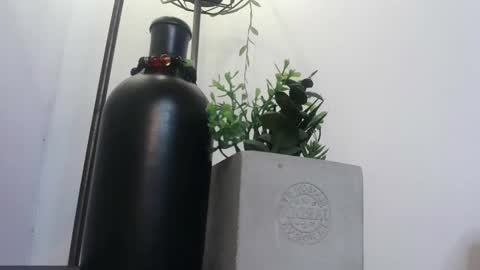 Snapshot of amy_swan09 chatting on February 4, 2025, 5:23 pm Amy online show from February 4, 2025, 5:23 pm