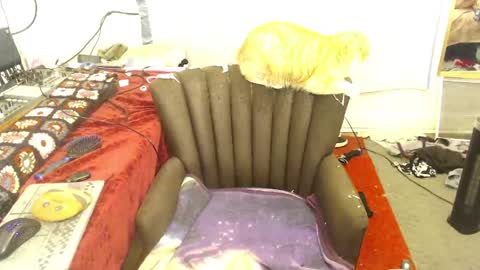 Trashely Gimpson online show from April 14, 2026, 8:09 am