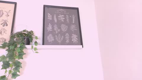  AMMY  online show from February 20, 2026, 11:54 am