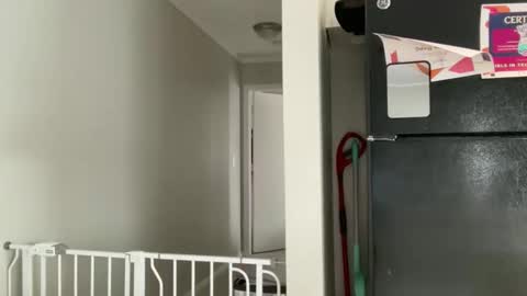 Amy Smilez online show from December 17, 2025, 5:30 pm