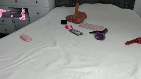 Snapshot of anastasia_danger1 chatting on March 11, 2025, 1:01 pm  ANASTASIA DANGER  online show from March 11, 2025, 1:01 pm