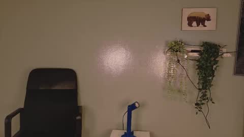 Kendra  online show from February 3, 2026, 10:20 am