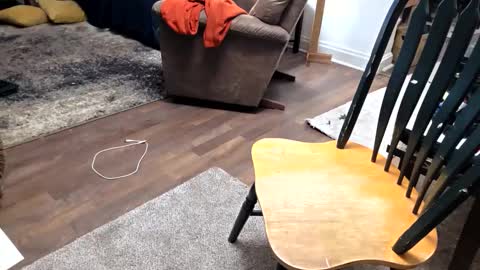 andrewo42601 online show from January 17, 2026, 10:13 pm