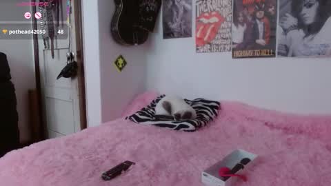 andy online show from November 6, 2025, 2:29 pm