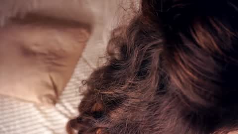 Angelica online show from January 20, 2025, 10:40 am