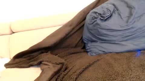 Angelica online show from November 6, 2025, 1:17 am