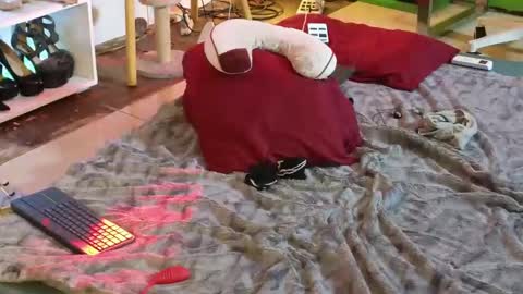 Angel online show from March 12, 2025, 4:51 am