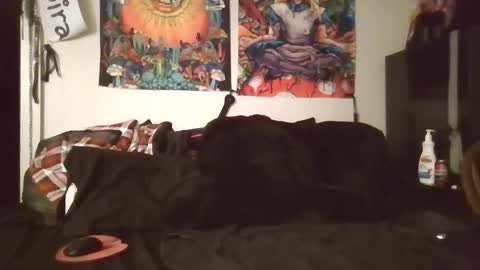 Angel and Mark online show from February 8, 2026, 5:33 am