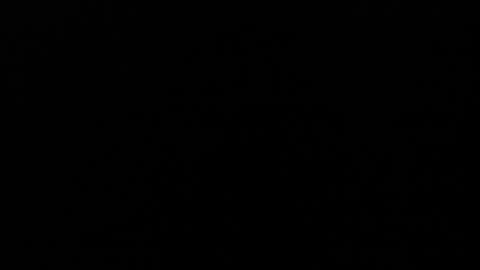 Angel Fox online show from December 5, 2024, 3:37 am