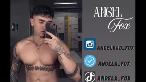 Angel Fox online show from January 7, 2026, 5:54 am