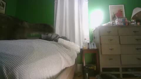 Ani online show from February 15, 2026, 11:30 am