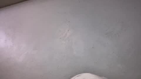 Animeboygirls online show from October 19, 2025, 6:36 am