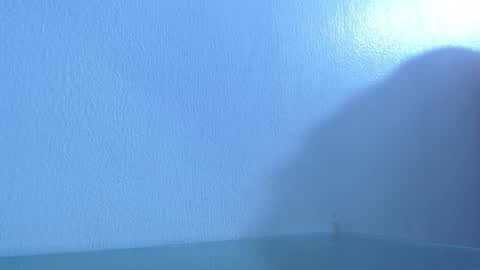 ana independent model online show from December 4, 2024, 8:12 am