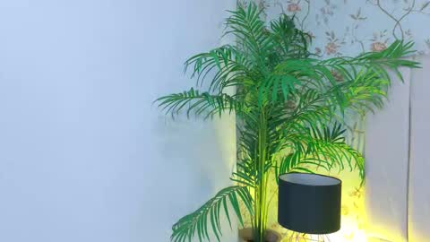 Dania Lpez online show from March 19, 2026, 12:42 pm