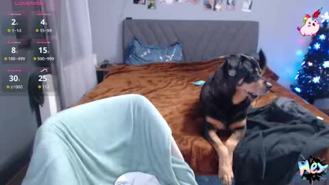 Snapshot of anna_ana chatting on December 31, 2024, 10:34 pm Anadirectgirl online show from December 31, 2024, 10:34 pm