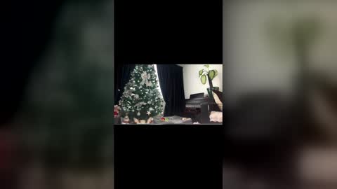 anna_nobel online show from December 14, 2025, 11:04 am