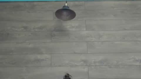 annasplash online show from March 12, 2025, 5:46 am