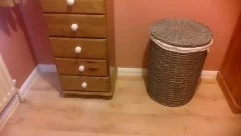 annecharlie online show from November 16, 2025, 8:42 am