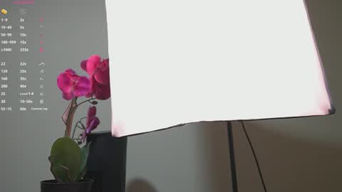 Ana online show from September 13, 2025, 11:32 am