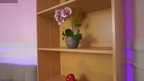 Ana online show from November 7, 2025, 11:54 am