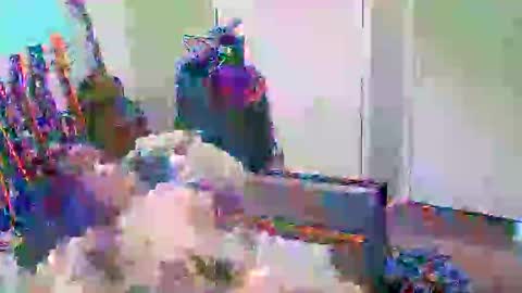 anssyboy696 online show from October 11, 2025, 5:22 pm