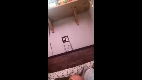 Snapshot of anthony9168 chatting on March 25, 2026, 11:22 pm anthony9168 online show from March 25, 2026, 11:22 pm