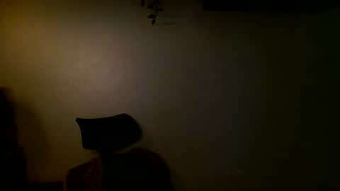 Ant online show from December 11, 2024, 4:31 pm