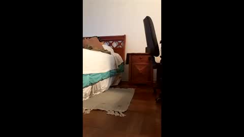 antonino85 online show from February 20, 2026, 9:48 pm