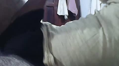 Snapshot of anupam373 chatting on January 20, 2025, 2:11 am anupam373 online show from January 20, 2025, 2:11 am