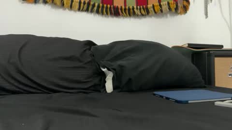 cowboy online show from November 18, 2025, 8:08 am