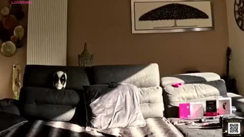 apollonfitx_69 online show from February 1, 2026, 1:53 pm