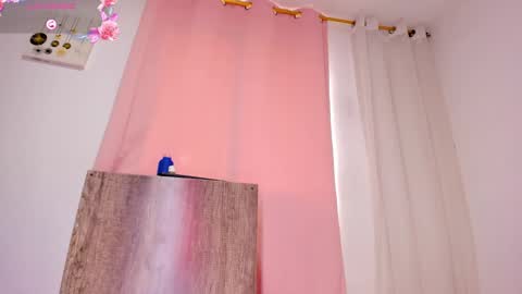 April  online show from February 24, 2025, 3:42 pm