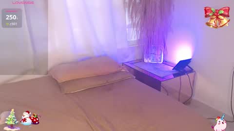          online show from December 22, 2025, 2:14 pm