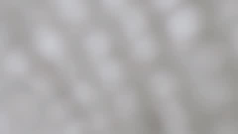 Snapshot of aprilmom chatting on December 11, 2024, 11:54 pm April online show from December 11, 2024, 11:54 pm