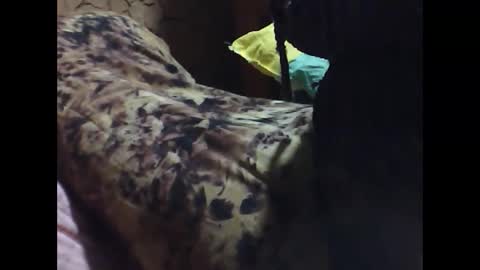 ara bellah online show from March 21, 2026, 8:34 pm