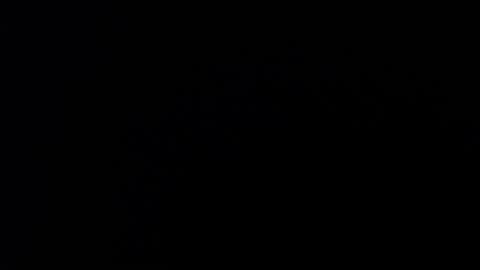 ARIANNA  online show from March 27, 2026, 2:06 am