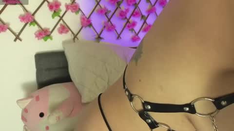 aria_silk online show from April 20, 2026, 6:31 pm