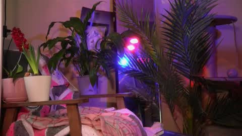 Olivka online show from March 20, 2026, 6:40 am