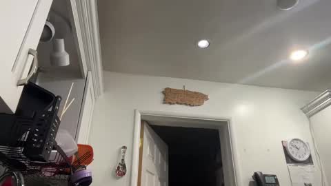 Snapshot of ariawestlove chatting on January 8, 2025, 3:51 am Aria online show from January 8, 2025, 3:51 am