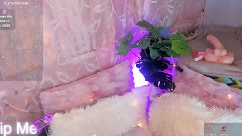 ARII VEGA online show from November 15, 2025, 5:05 am