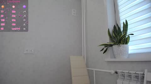 arinamir online show from September 23, 2025, 1:30 am